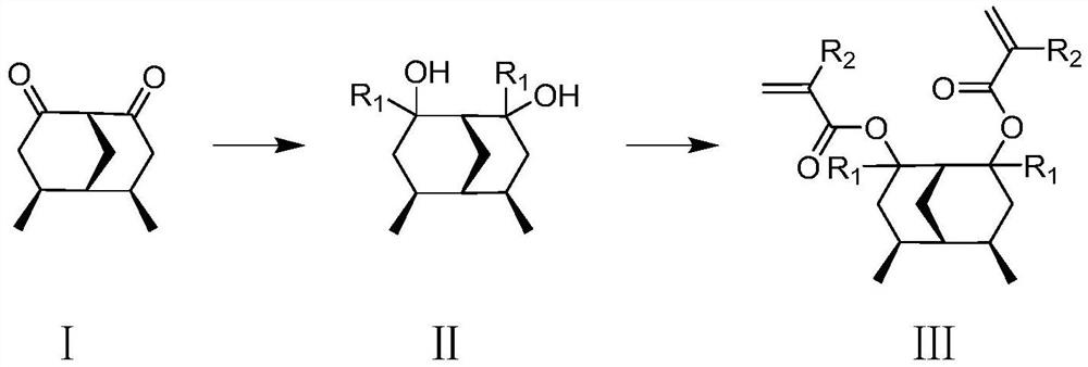 Degradable photoresist resin monomer synthesized from dimethyl bicyclo [3.3.1] nonane diketone and synthesis method of degradable photoresist resin monomer