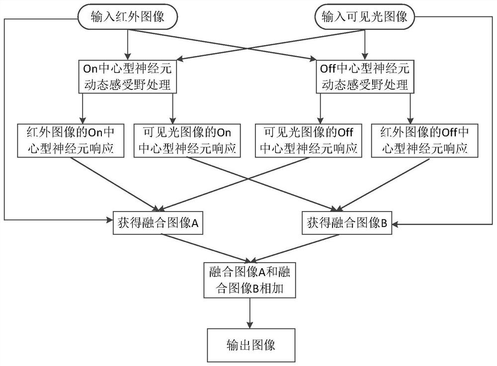 Infrared image and visible light image fusion method based on early visual information processing