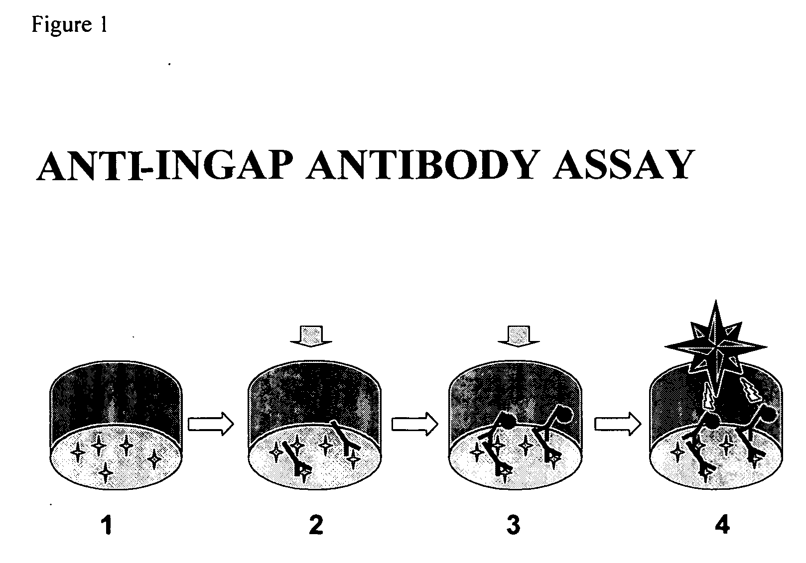 Assay for anti-INGAP antibodies