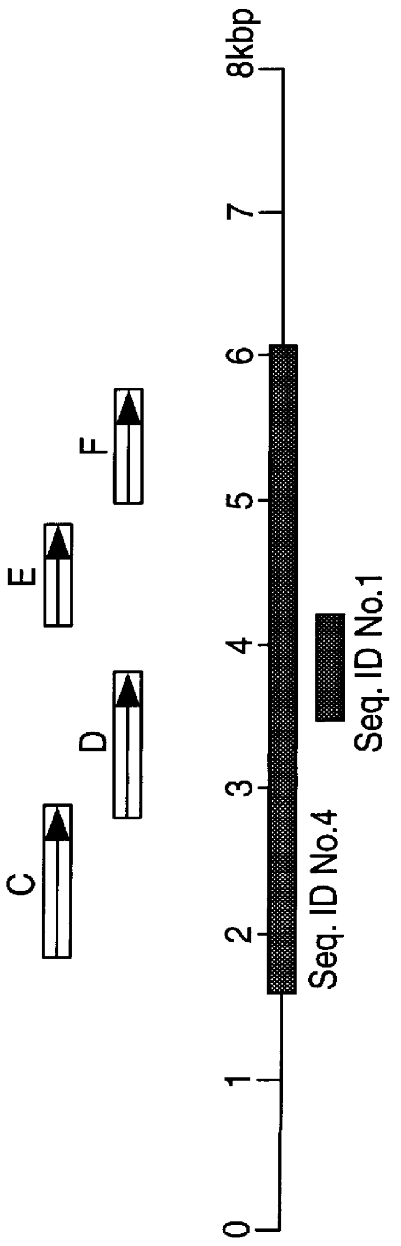 Polynucleotides and polypeptides in pathogenic mycobacteria and their use as diagnostics, vaccines and targets for chemotherapy