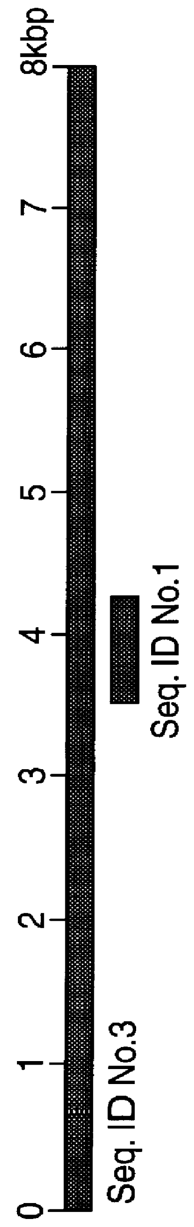 Polynucleotides and polypeptides in pathogenic mycobacteria and their use as diagnostics, vaccines and targets for chemotherapy