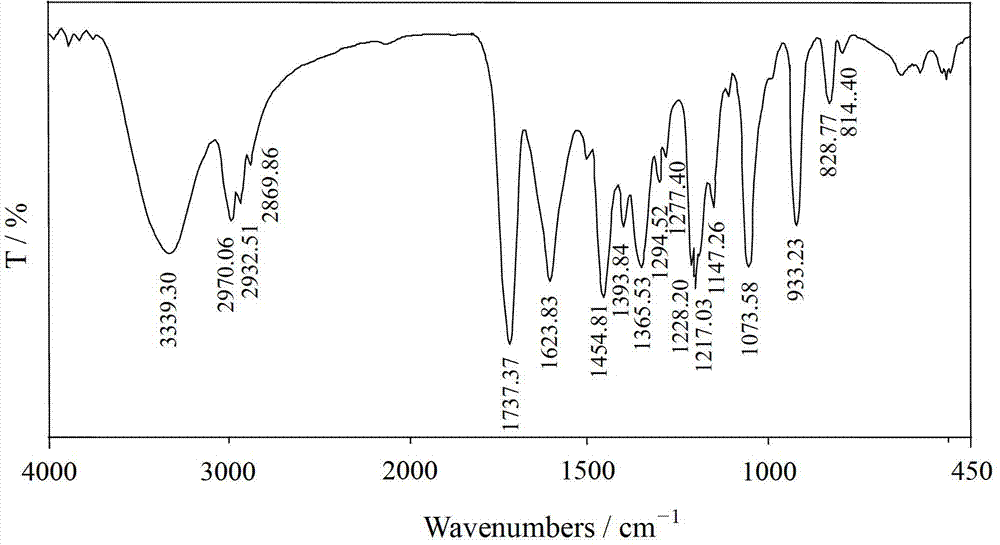 Ethyl polyethylene polyamine polymethacrylate chelating flocculant and preparation method thereof