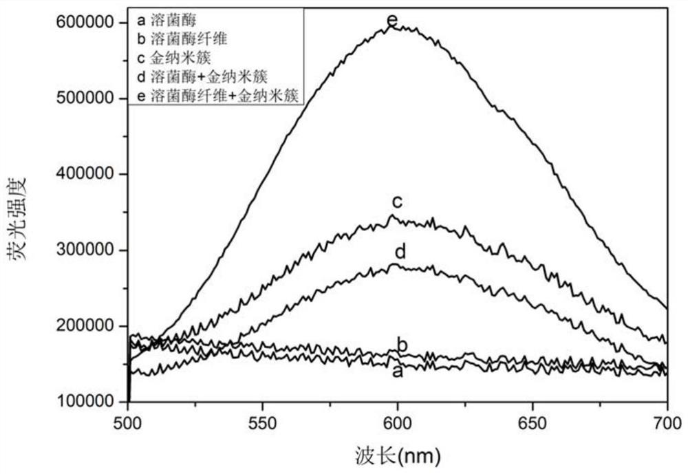 Application of gold nanoclusters in detection of protein amyloid fibrosis and screening of inhibitors in biological samples