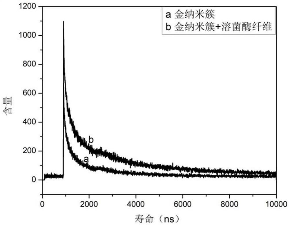 Application of gold nanoclusters in detection of protein amyloid fibrosis and screening of inhibitors in biological samples