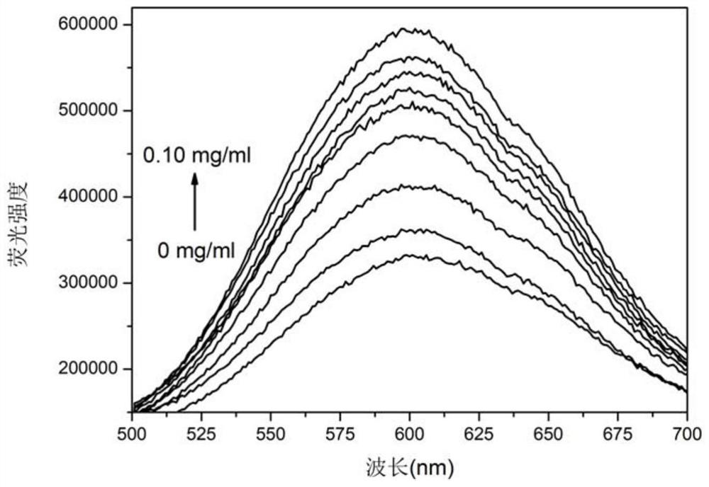 Application of gold nanoclusters in detection of protein amyloid fibrosis and screening of inhibitors in biological samples