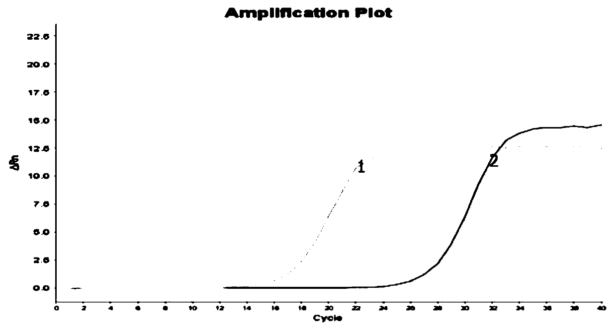 Nucleic acid releasing agent and HPV virus nucleic acid detection kit