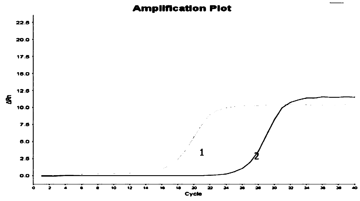 Nucleic acid releasing agent and HPV virus nucleic acid detection kit