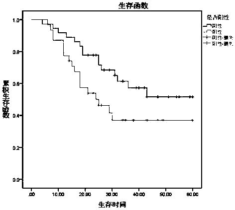 Application of insulin-like growth factor binding protein 2 in preparation of postoperative prognosis evaluation kit for neuroendocrine carcinoma