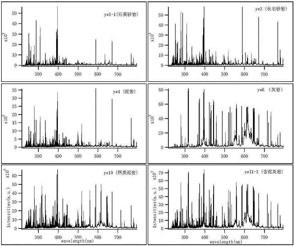 Rock character judging method and system based on laser-induced breakdown spectroscopy