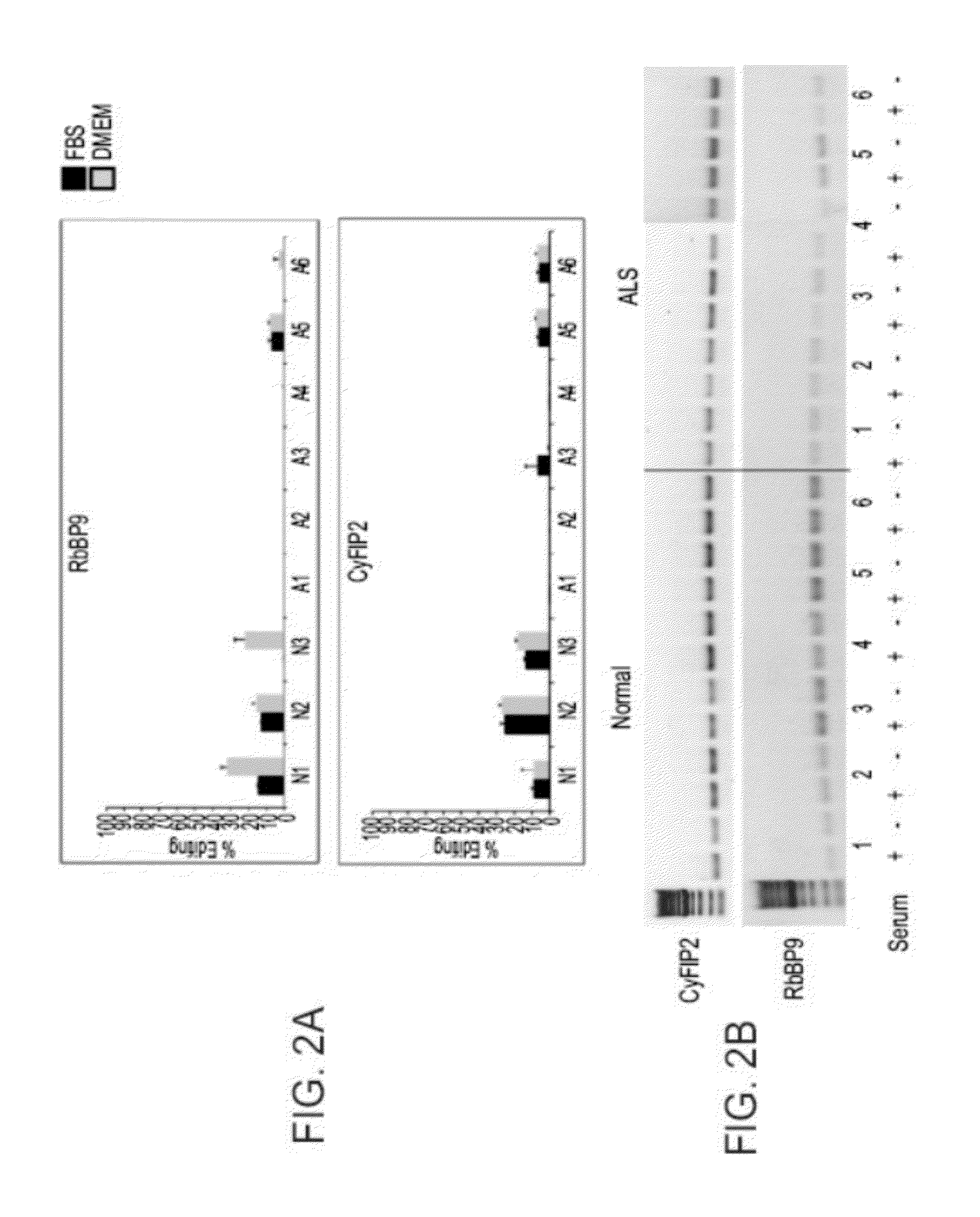 Methods of diagnosing amyotrophic lateral sclerosis (ALS)