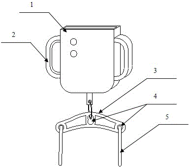 Medical scale