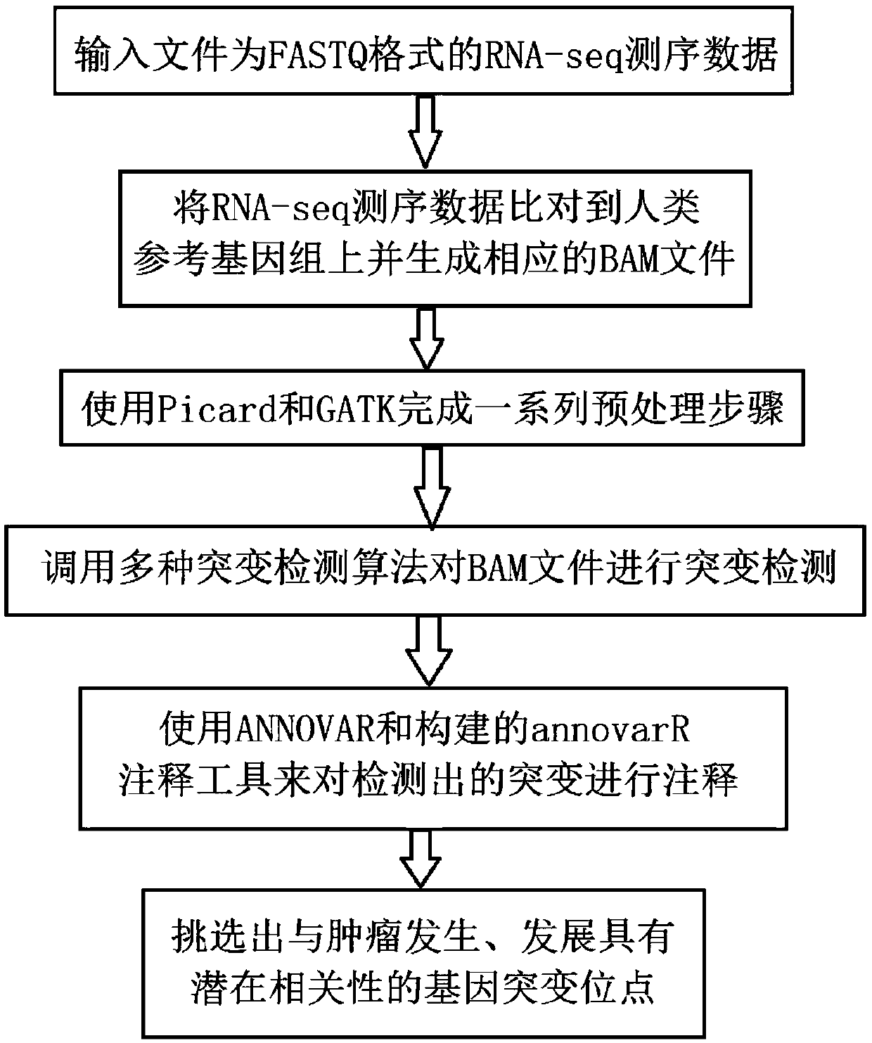 Tumor gene mutation detection method and system based on RNA-seq data