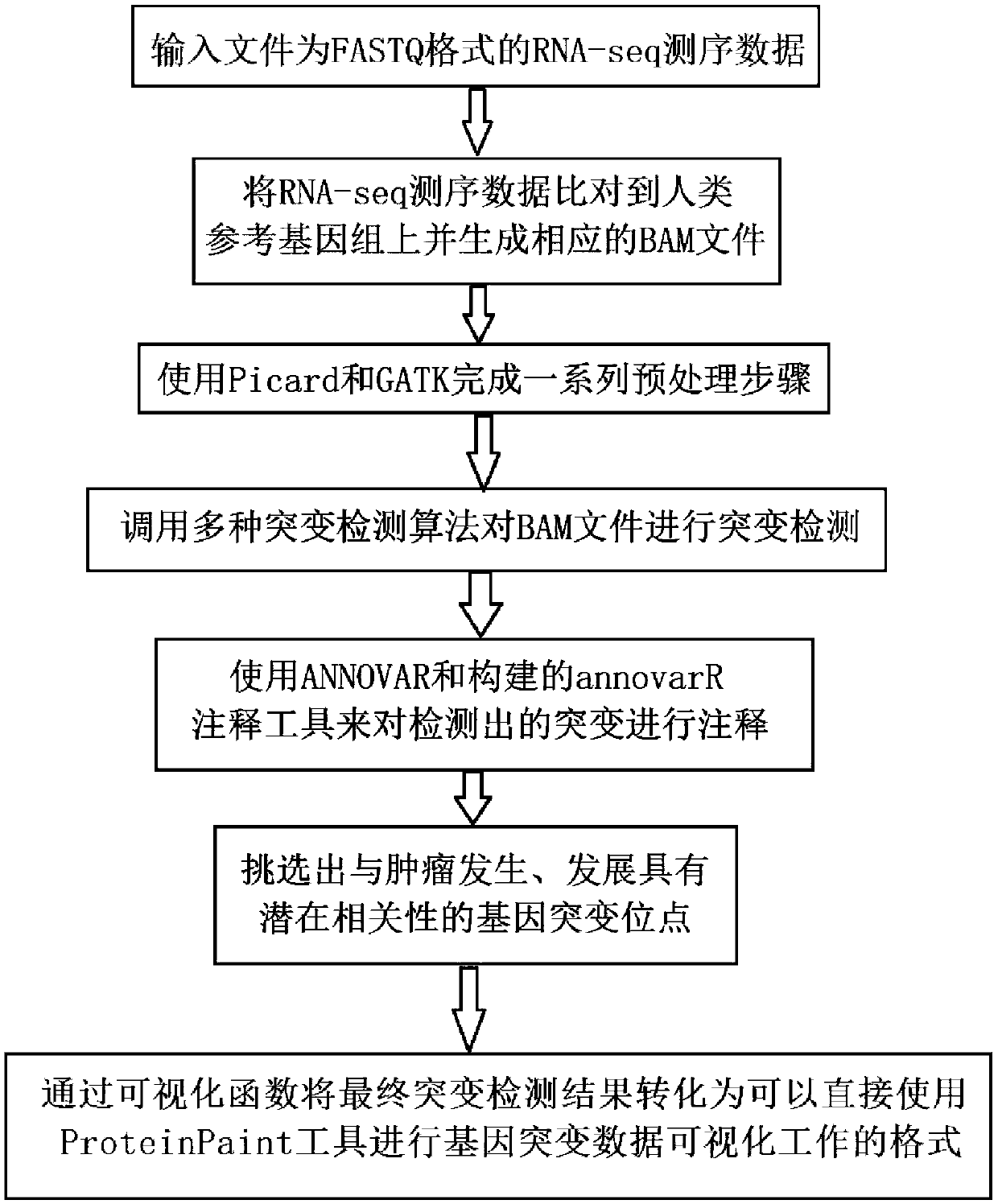 Tumor gene mutation detection method and system based on RNA-seq data