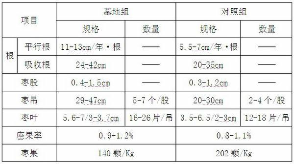 Method for producing jujube with chitin