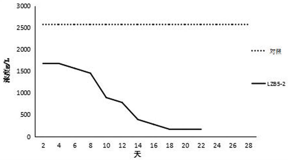 Sulfur oxidizing bacteria and application thereof