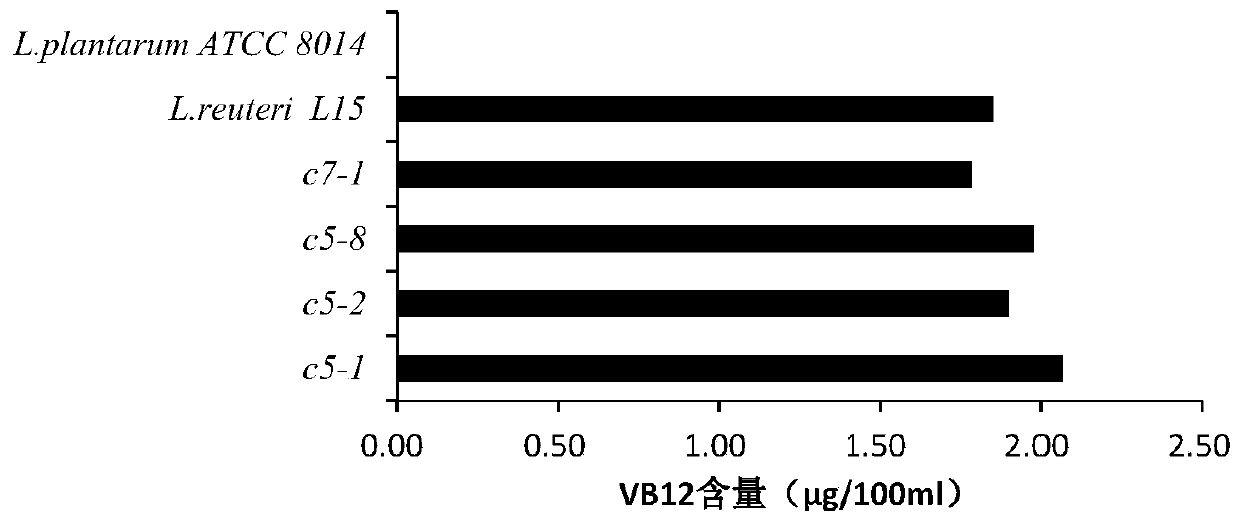 a vitamin b  <sub>12</sub> strains and applications