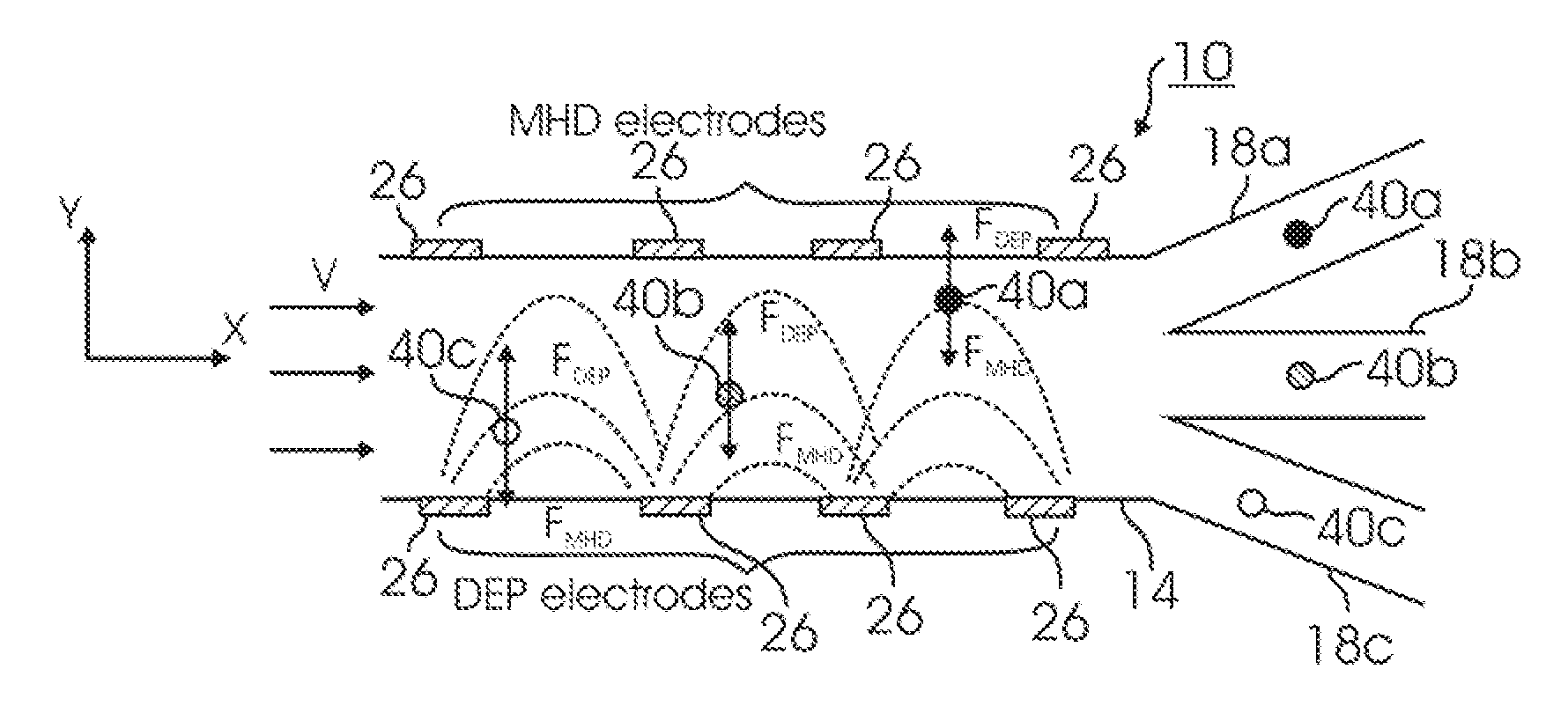 Microfluidic device for cell and particle separation