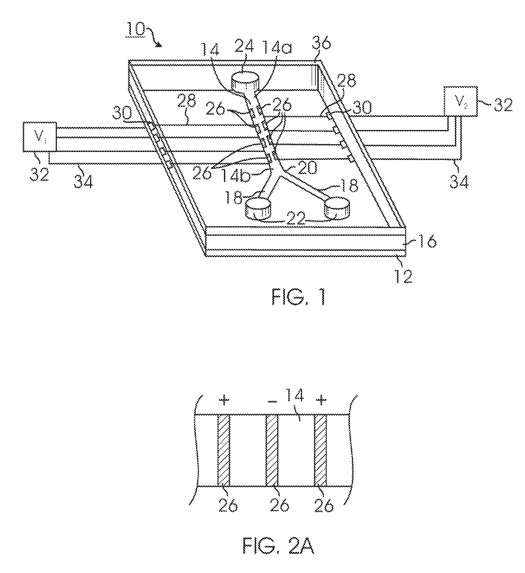 Microfluidic device for cell and particle separation