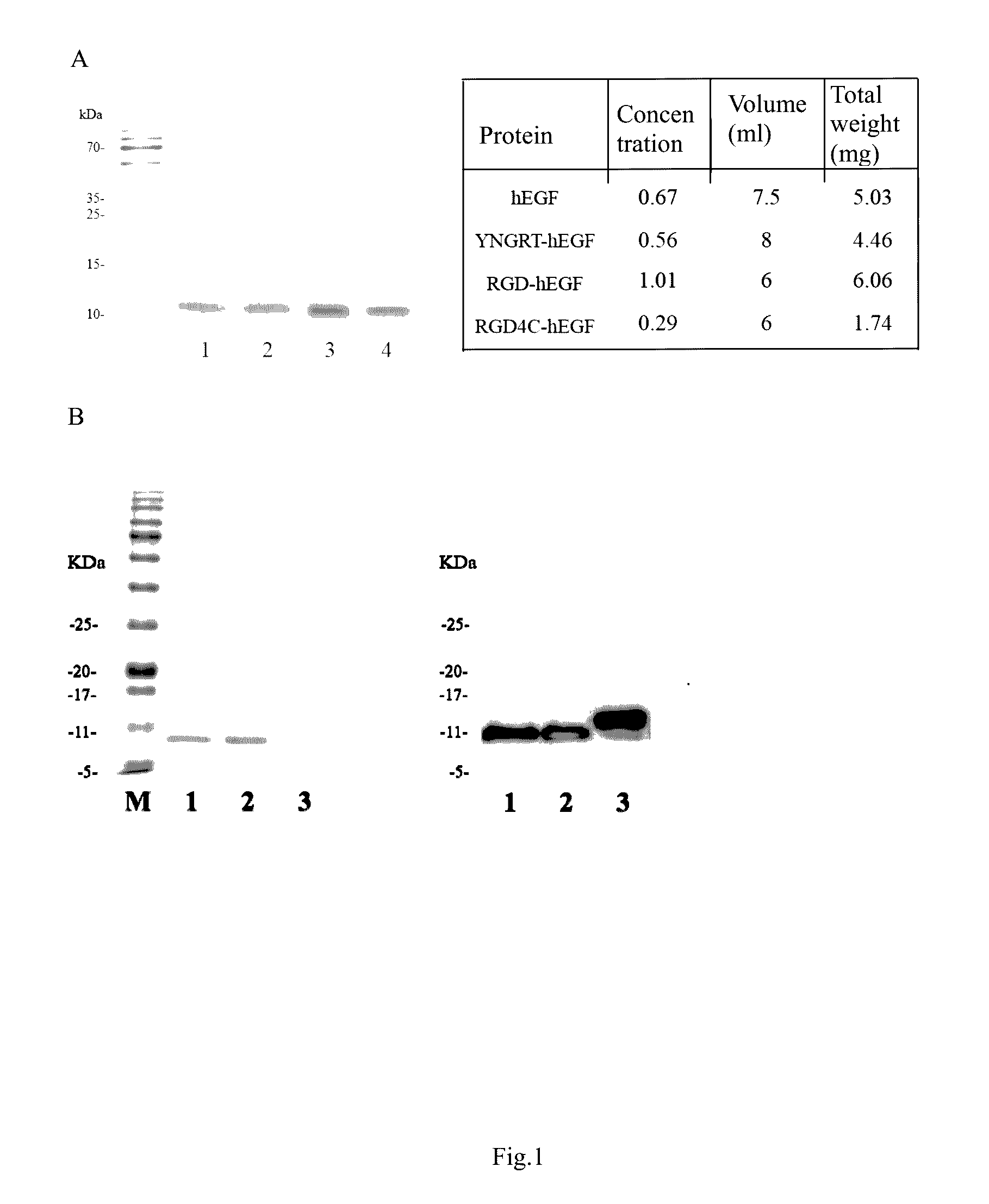 Dual targeting drug carrier and application thereof