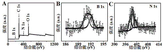 Preparation method of born-nitrogen miscellaneous graphene hydrogel