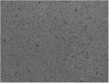 Composite material tool electrode for electrolytic deposition and electric spark and preparation method thereof