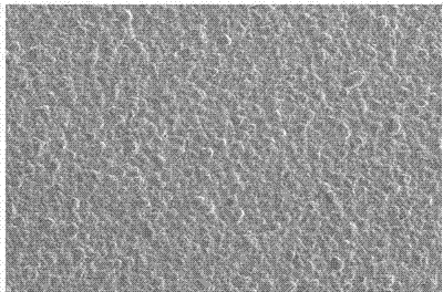 Composite material tool electrode for electrolytic deposition and electric spark and preparation method thereof