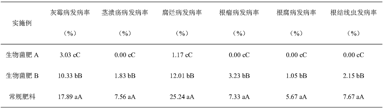 Special bio-fertilizer for blueberries as well as preparation method and application of bio-fertilizer