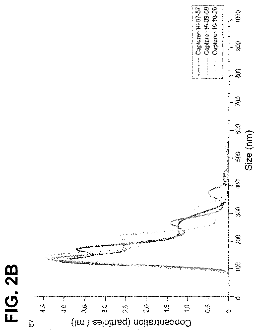 Pharmaceutical composition for treatment of atopy containing exosomes derived from neural stem cells