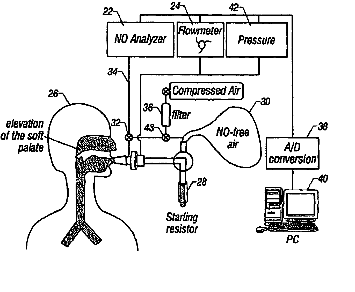 Accurate method to characterize airway nitric oxide using different breath-hold times including axial diffusion of nitric oxide using heliox and breath hold