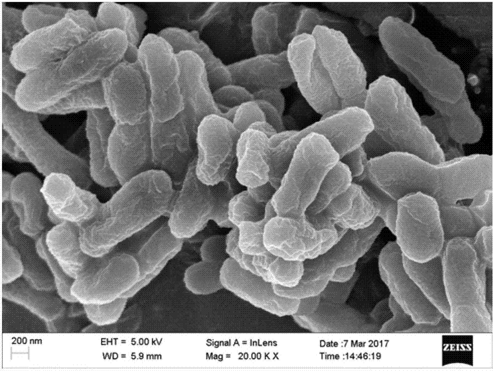 Burkholderia GYP1 and application thereof in degrading brominated flame retardant