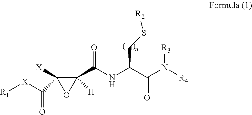 2,3-Epoxy Succinyl Derivative, Preparation Method and Use Thereof