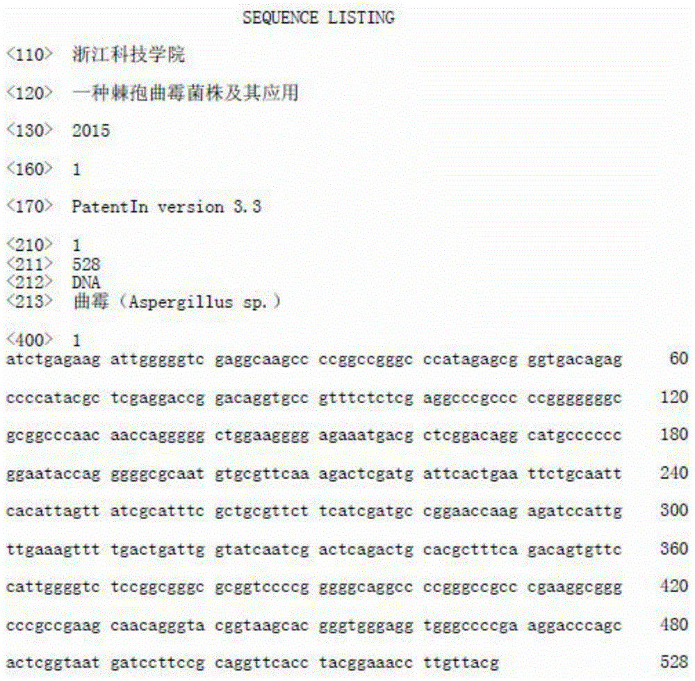 Aspergillus aculeatus strain and application thereof