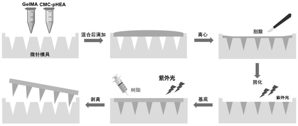 Hydrogel microneedle patch for noninvasive blood glucose detection as well as preparation method and application of hydrogel microneedle patch