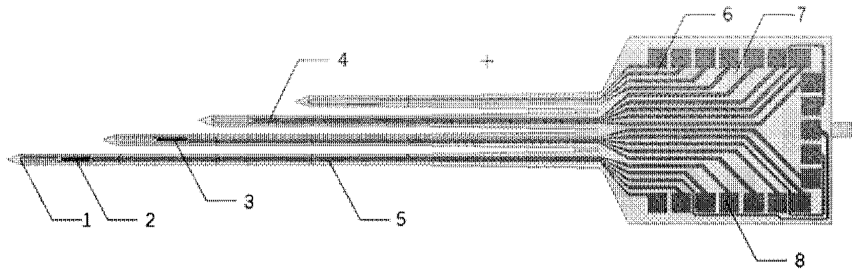 Implantable type micro-nano electrode array chip in weightless-simulated rats and preparation method thereof