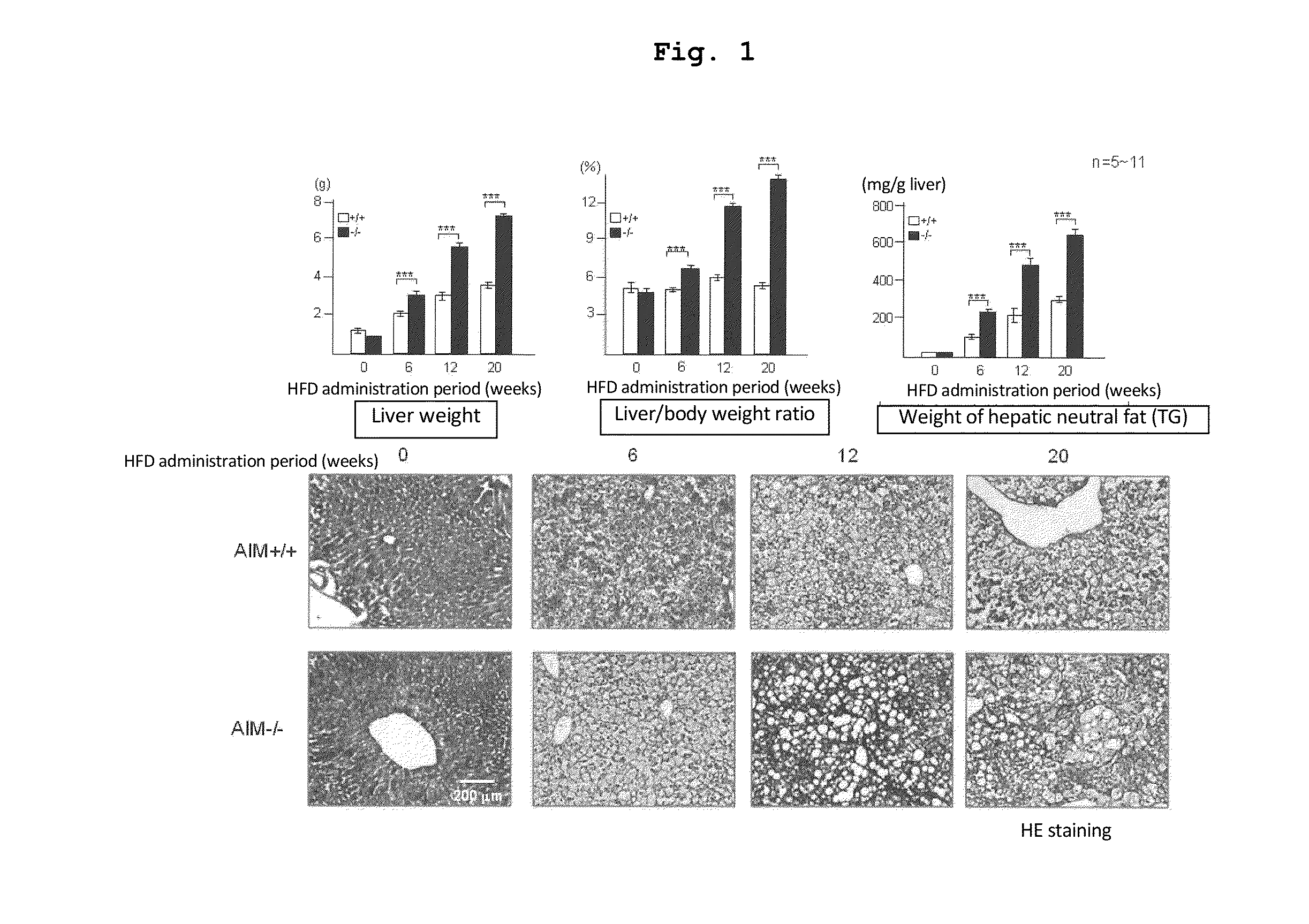 Prophylactic or therapeutic agent for hepatic diseases