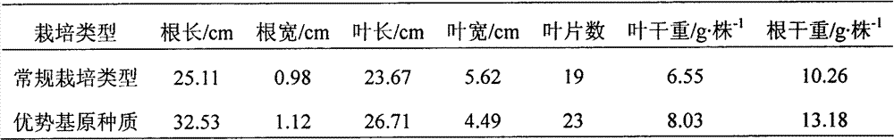 Screening method of advantage-based stock seed of isatis root