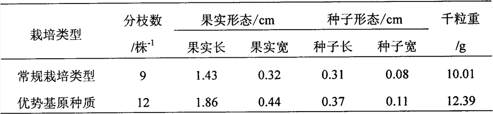 Screening method of advantage-based stock seed of isatis root