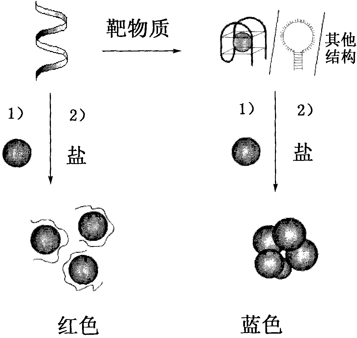 Colorimetric detection method based on nanometer-gold and nucleic acid structure and kit thereof