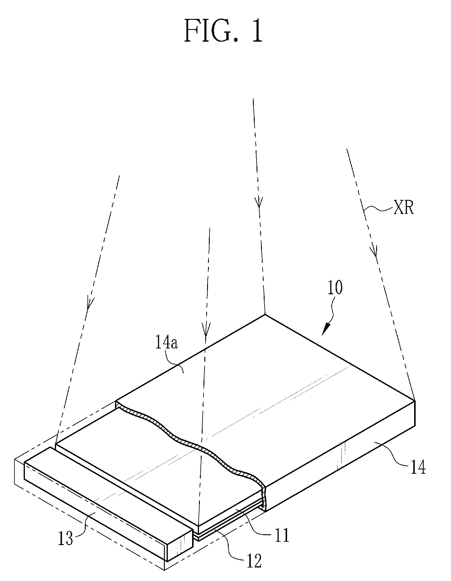 Radiographic image detection device