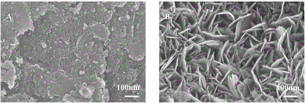 Method for enhancing catalytic denitrification activity of material by electron-beam irradiation modification and application thereof