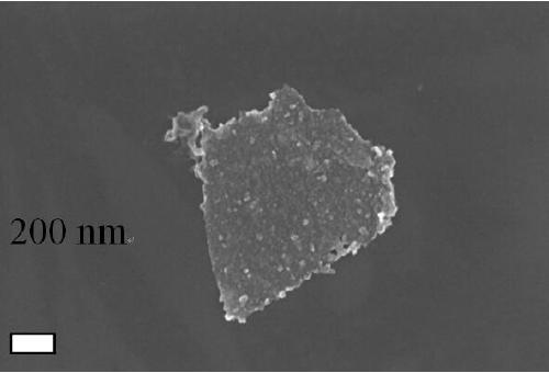 Preparing method for two-dimensional material-transition metal heterojunction sheet