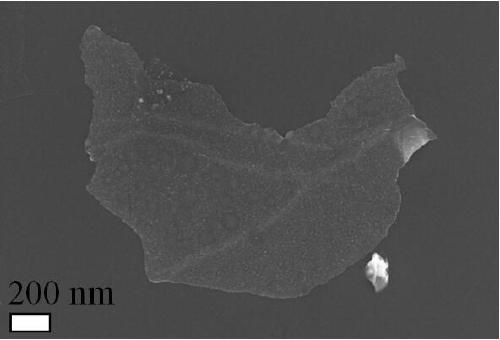 Preparing method for two-dimensional material-transition metal heterojunction sheet