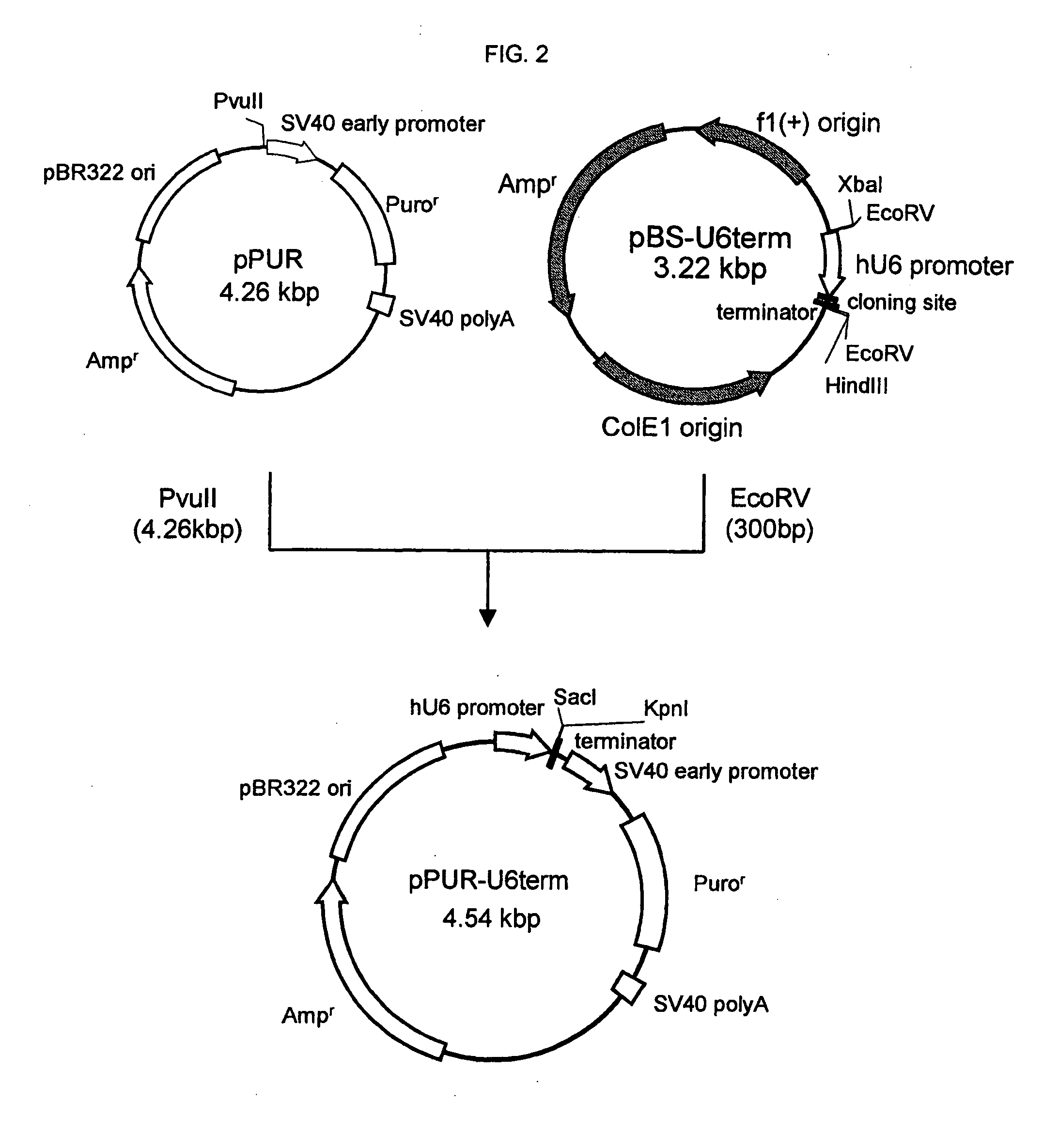 Process for producing glycoprotein composition