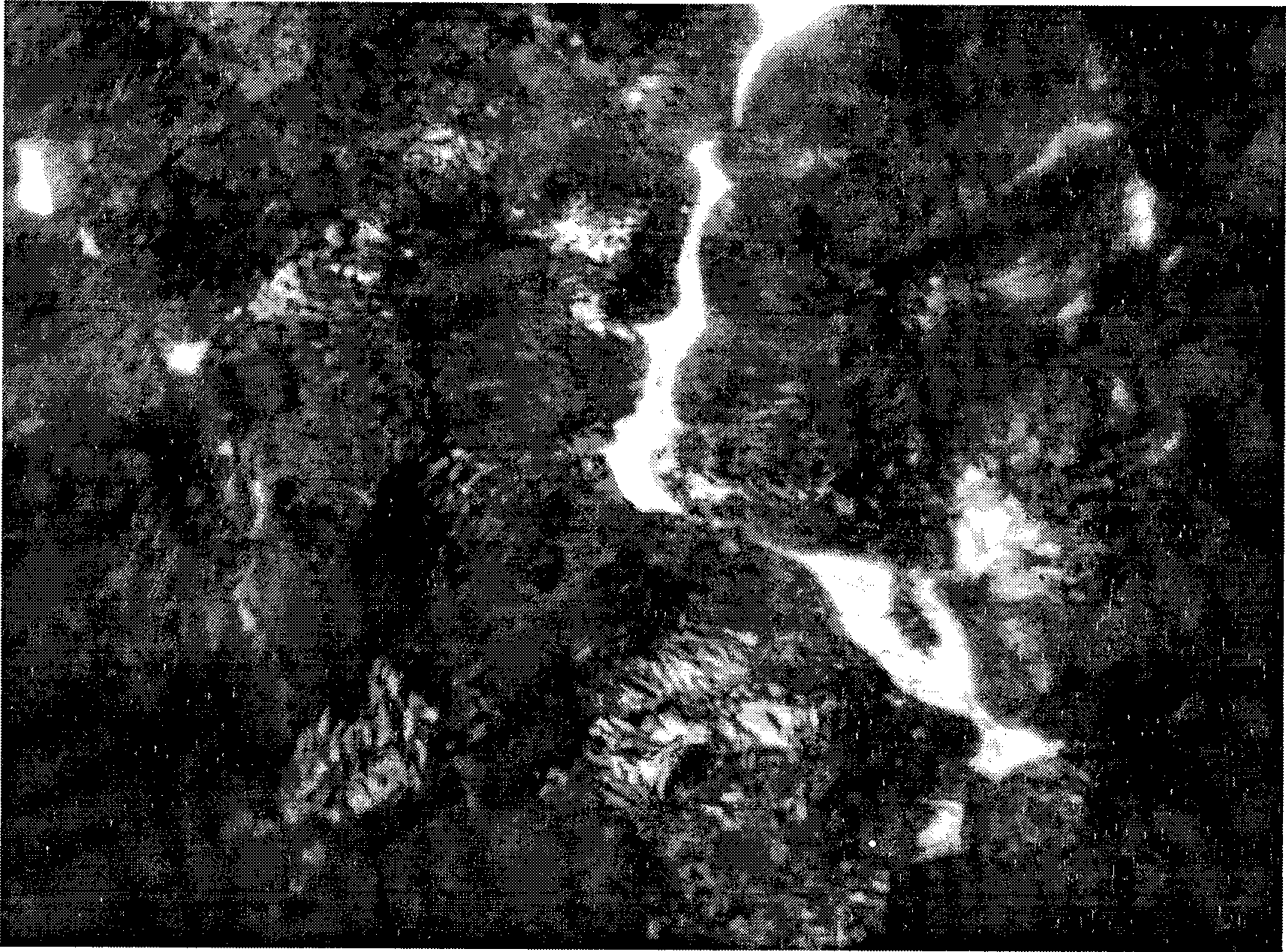 Vermicular cast iron cylinder liner and preparation method thereof