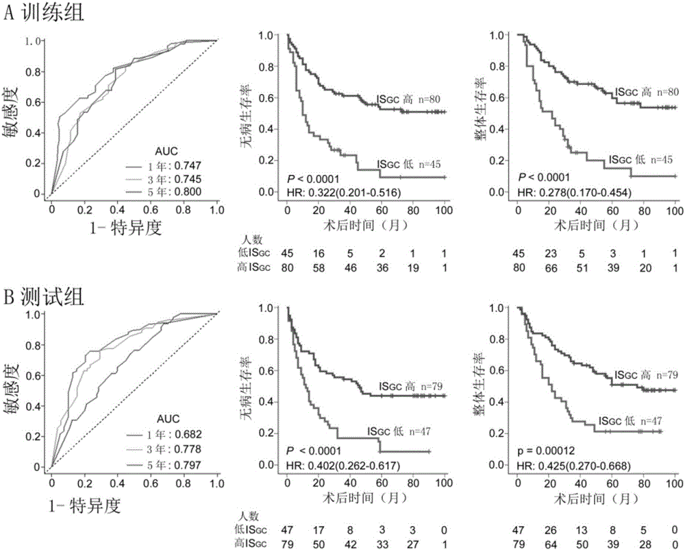 Reagent and system for evaluating postoperative prognosis and chemotherapy sensitivity of stomach cancer