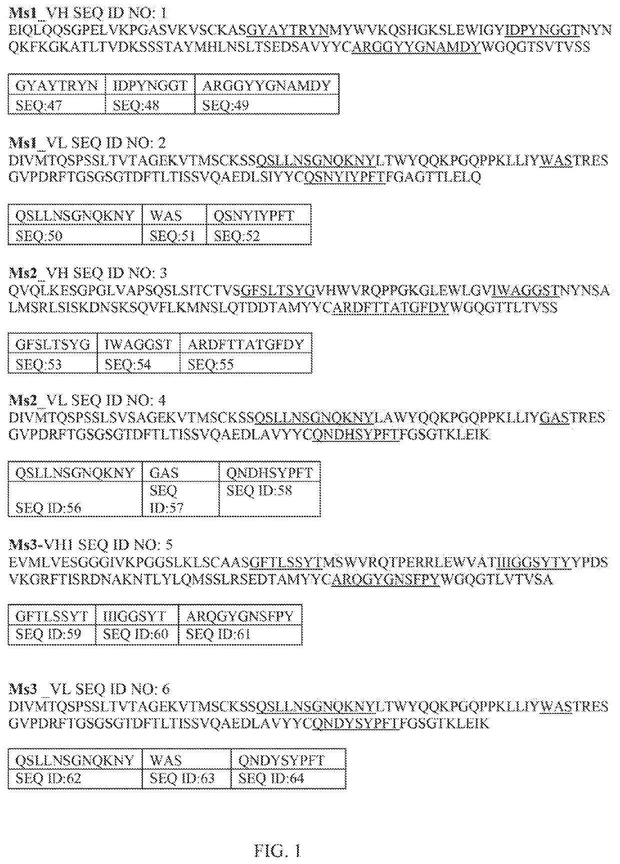 Anti-claudin 18 antibodies and methods of use thereof