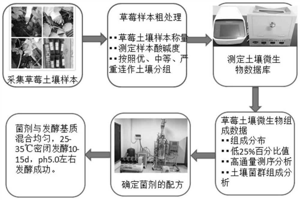 Preparation technology and use of suitable microecological microbial agent for individually solving continuous cropping obstacles of strawberries