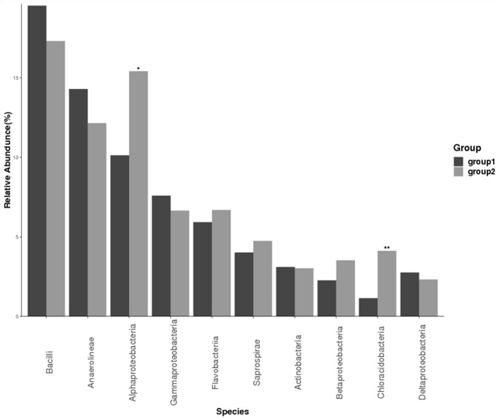 Preparation technology and use of suitable microecological microbial agent for individually solving continuous cropping obstacles of strawberries