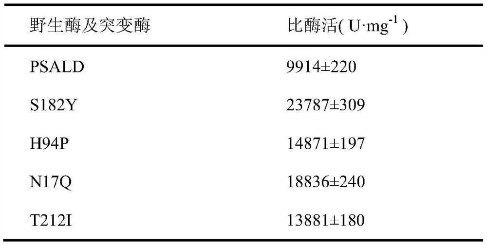 Threonine aldolase, mutants and their application in the preparation of substituted phenylserine derivatives