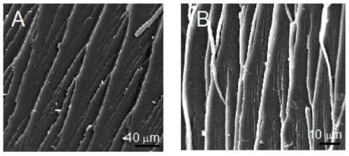 A kind of bio-based high rigidity furan epoxy resin and preparation method thereof